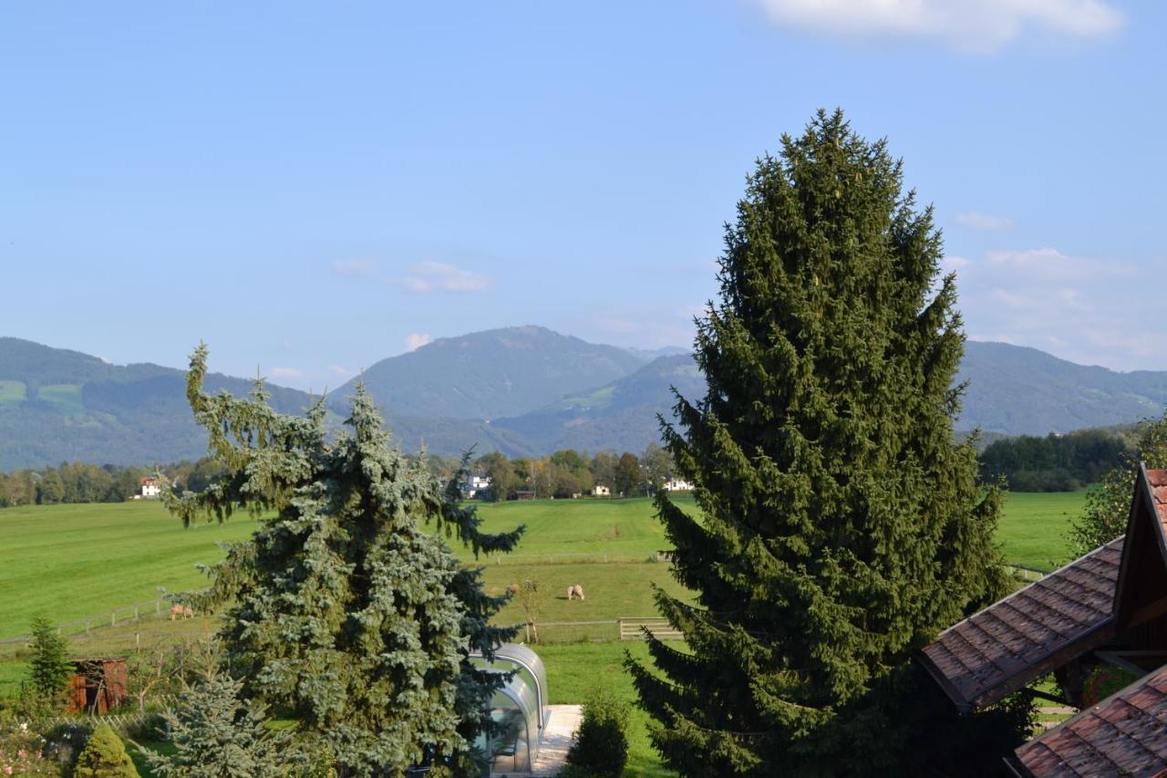 Ferienwohnung Schmiedhansl Moos Salzburg Luaran gambar